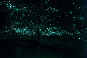 spellbound-glowworms-at-end-of-cave.jpg.jpeg